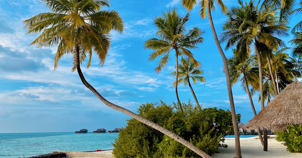 Coast Region 2022: Joho's Exit, Nassir's Rise, and the Governor Musical Chairs