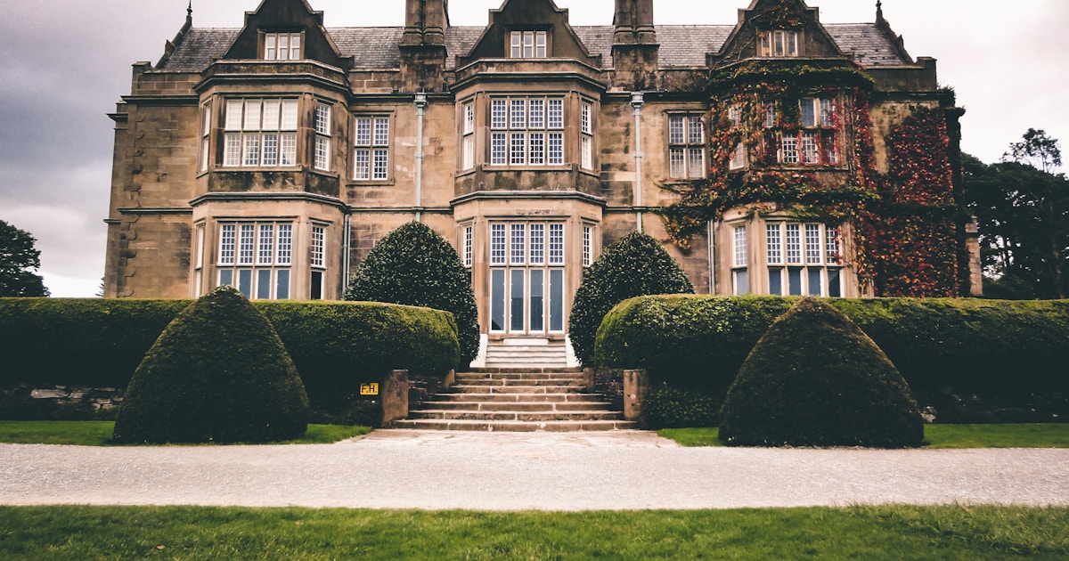 How Kenya Kwanza Built a Winning Coalition: Lessons in Alliance Arithmetic