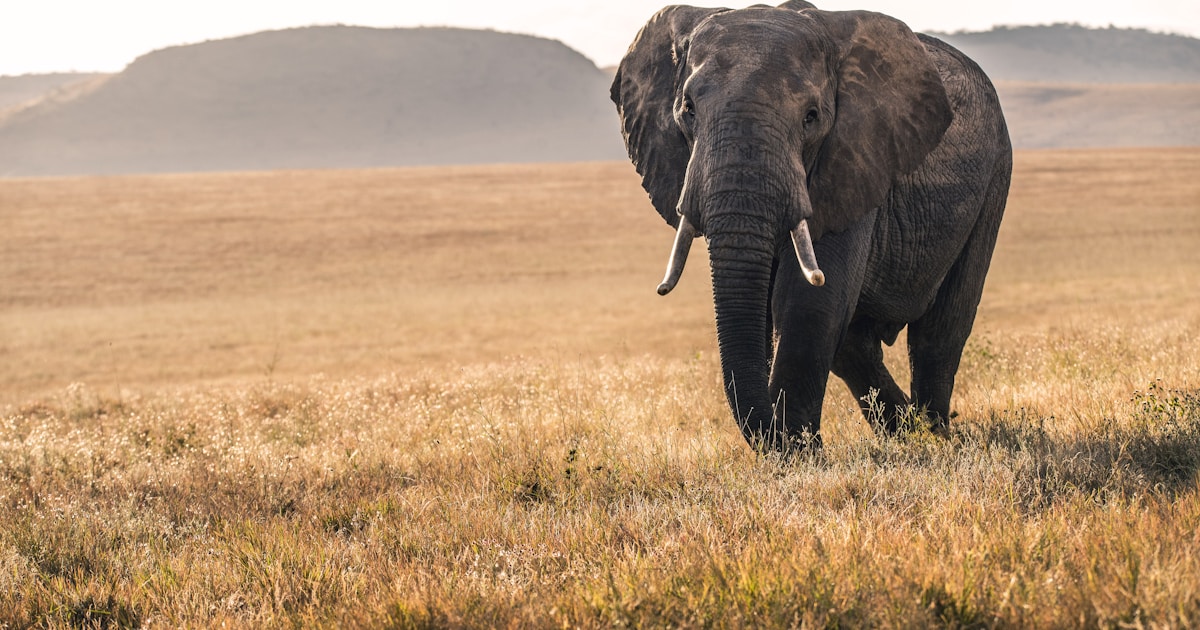 2022 County Spotlight: Laikipia and Samburu — The Northern Rift Divide