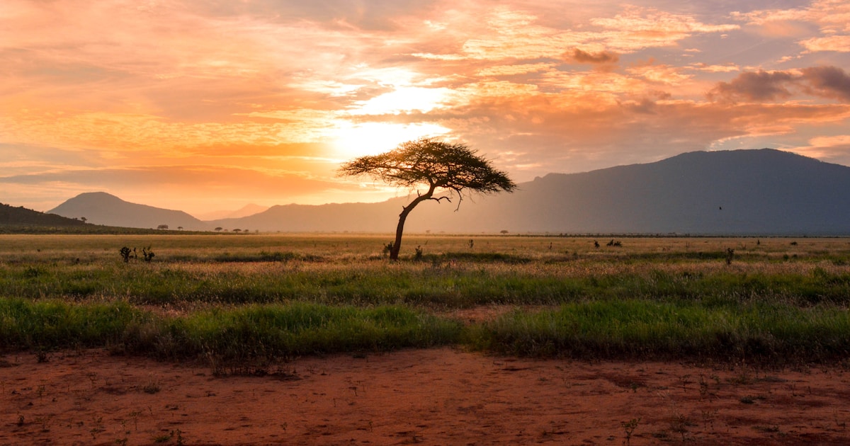 2022 County Spotlight: Turkana — High Stakes, Low Turnout in the North